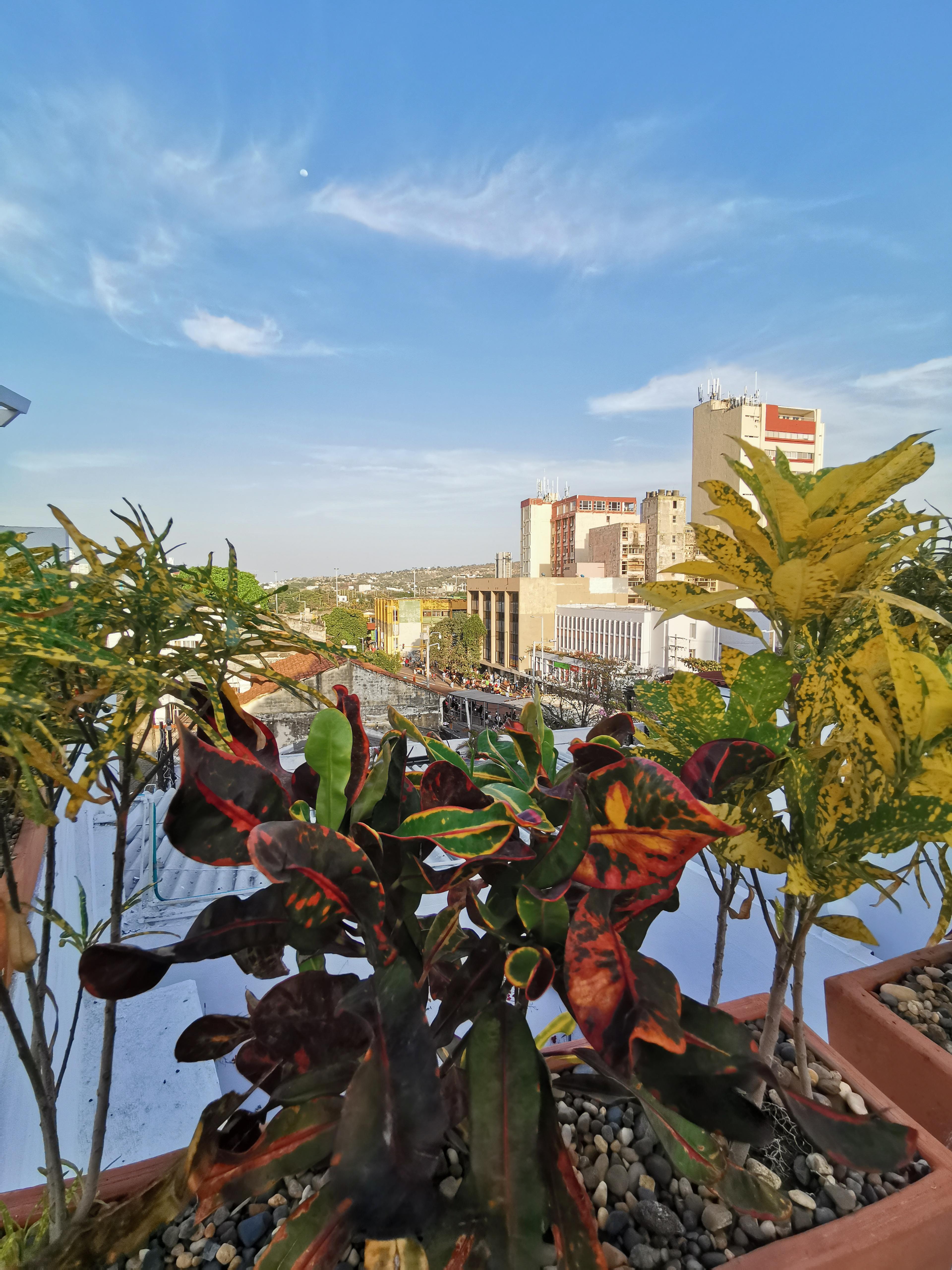 Luka Cartagena Hotel المظهر الخارجي الصورة